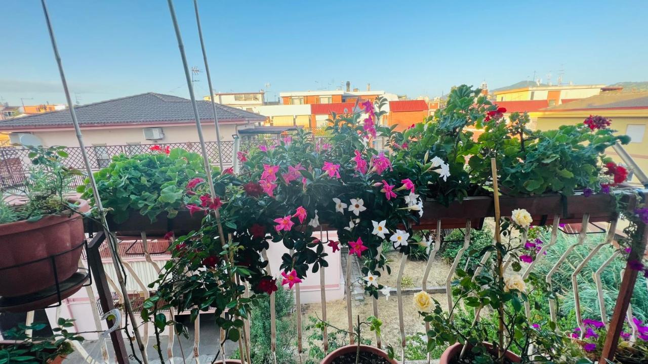 Oasi Di Serenita Marino Buitenkant foto